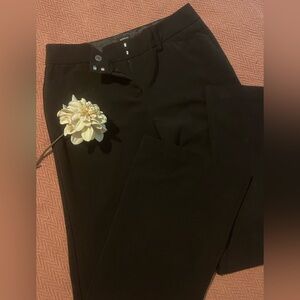 No Boundaries Dark Brown Juniors Jacket